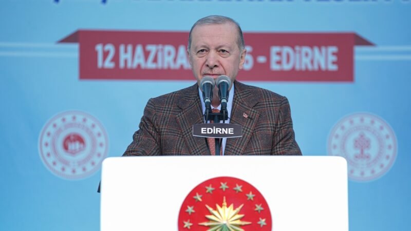 Cumhurbaşkanı Erdoğan: Siz milletvekili misiniz, yoksa militan mı? Haberi