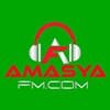 Amasya FM canlı radyo logosu