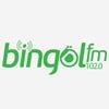 Bingöl FM canlı radyo logosu