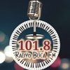 Buca FM canlı radyo logosu