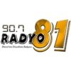Düzce Radyo 81 canlı radyo logosu