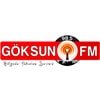 Göksun FM canlı radyo logosu