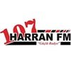 Harran FM canlı radyo logosu