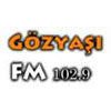 Konya Gözyaşı Fm canlı radyo logosu