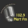 Mert FM canlı radyo logosu