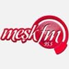 Meşk Fm 95.5 canlı radyo logosu