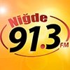 Niğde Fm 91.3 canlı radyo logosu