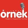 Örnek Radyo Muğla canlı radyo logosu