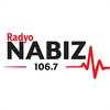 Radyo Nabız canlı radyo logosu