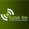 Samsun Fıstık Fm canlı radyo logosu