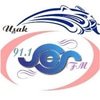 Uşak Ses FM canlı radyo logosu