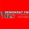 Zonguldak Demokrat Fm canlı radyo logosu